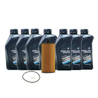 oil-change-inspection-1-BMW-5W30-Diesel-OEM-filter-kit-ps-tn.jpg